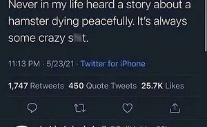 45 Times People Spotted Such Cursed Comments, They Just Had To Share Them In This Online Group (New Pics)