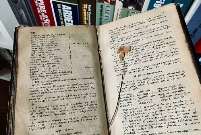 Había una flor seca en el libro de latín de 165 años de antigüedad que encontré en nuestro ático