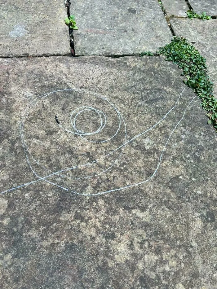 Esta babosa dibujó un caracol