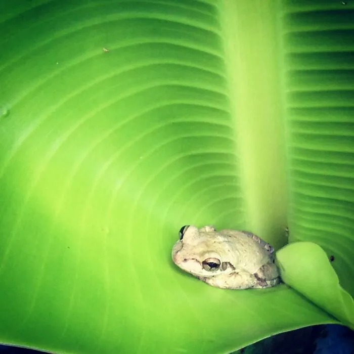 Just Chillin’