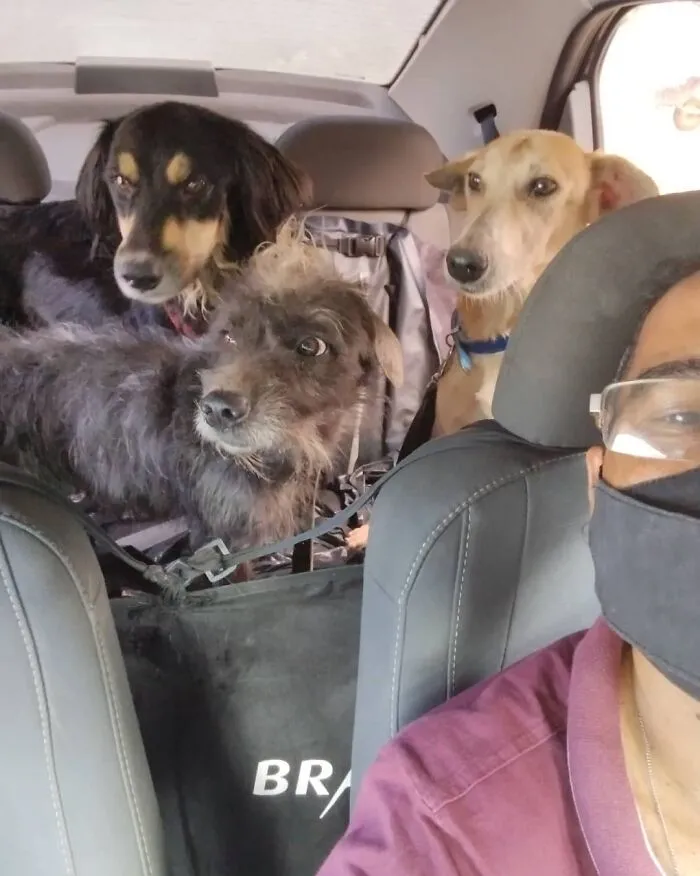 40 Selfies que este hombre se hizo con los pasajeros de su "taxi de mascotas"