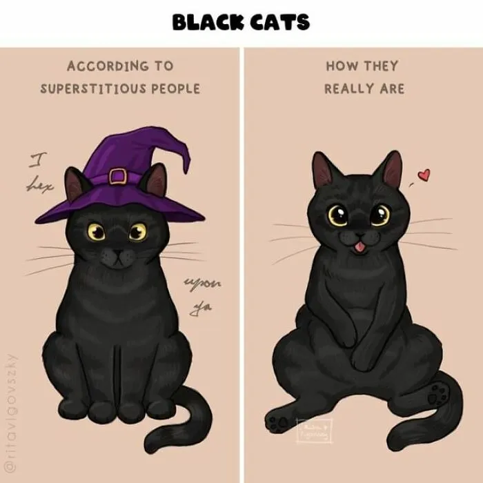"What It's Like To Have A Cat": 40 Illustrations By This Artist (New Pics)