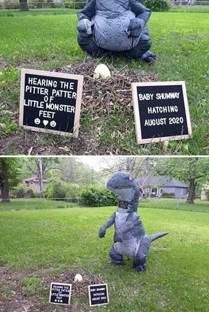This Was My Pregnancy Announcement From 2020..... Have Fun