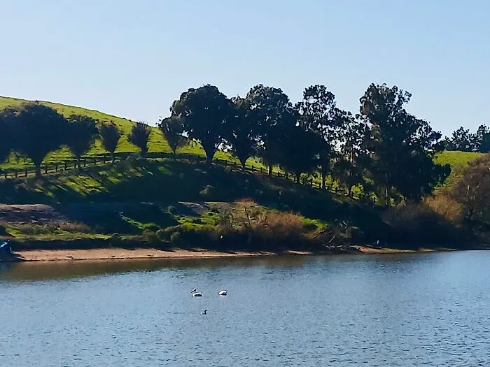 Rolling Hills