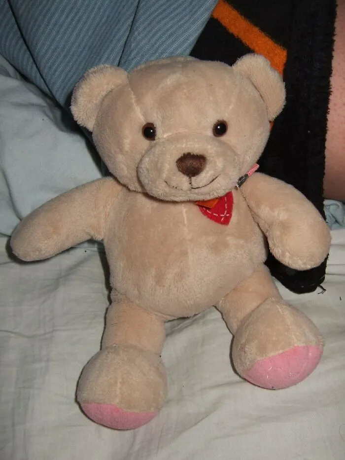 A Teddy Bear With A Hole In Its Belly