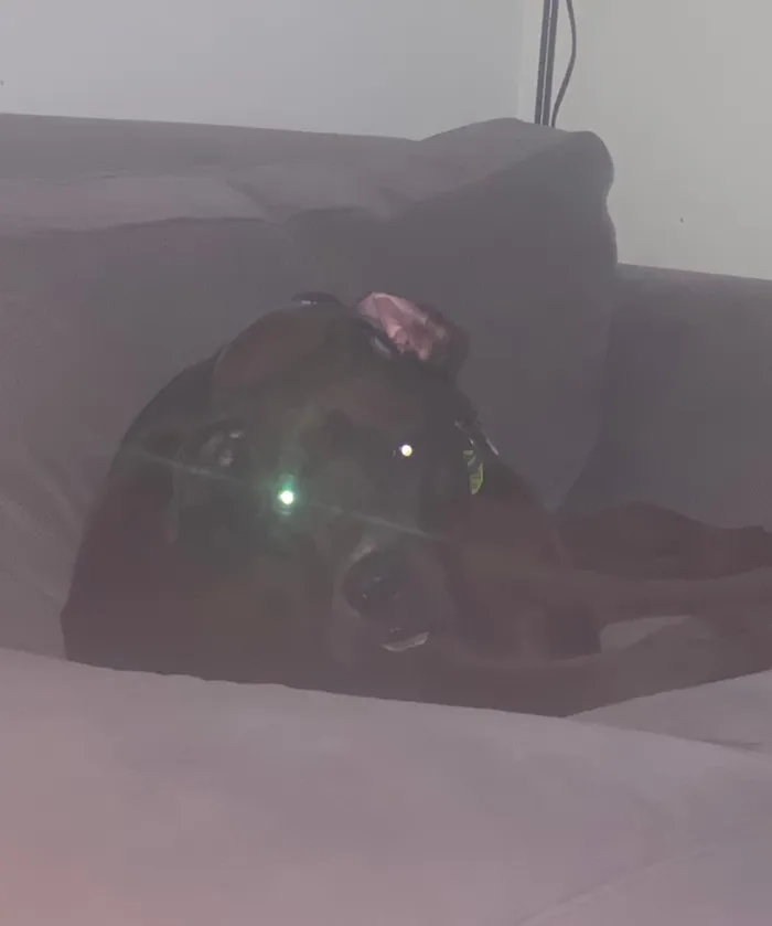 I’ve Learned Not To Wake Him Up On Purpose!