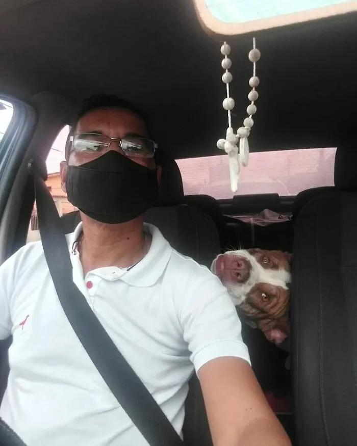 40 Selfies que este hombre se hizo con los pasajeros de su "taxi de mascotas"