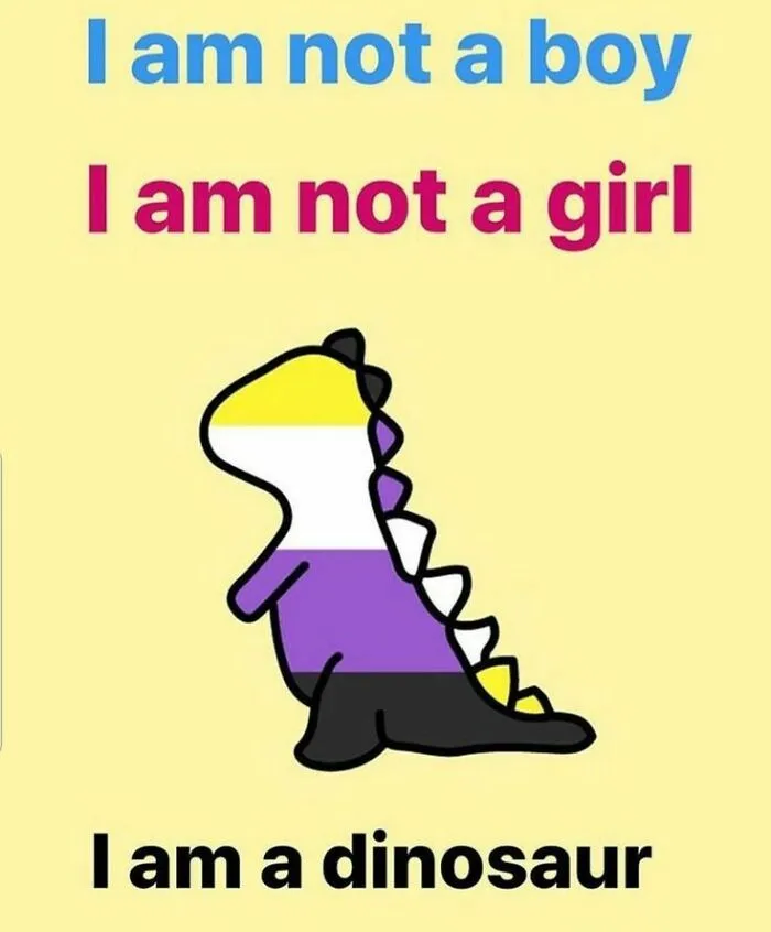 Non-binary dinosaur meme with LGBTQ+ flag colors and text "I am not a boy, I am not a girl, I am a dinosaur."