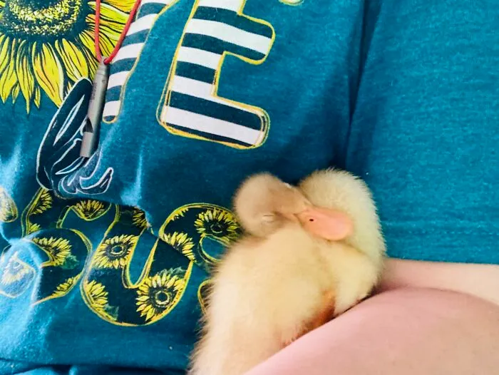 *squish* Singleton Likes Vertical Sleeping.