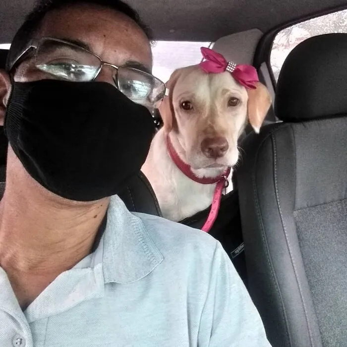 40 Selfies que este hombre se hizo con los pasajeros de su "taxi de mascotas"