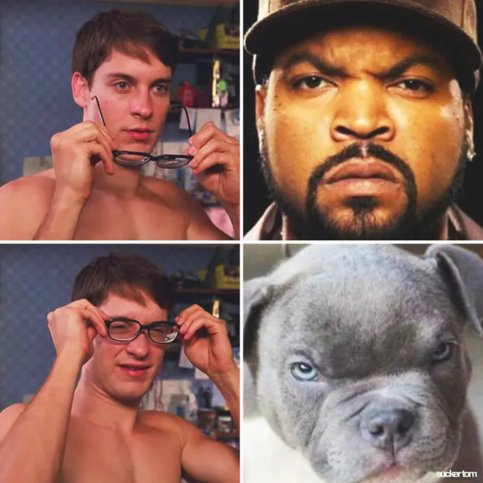 Ice Cube