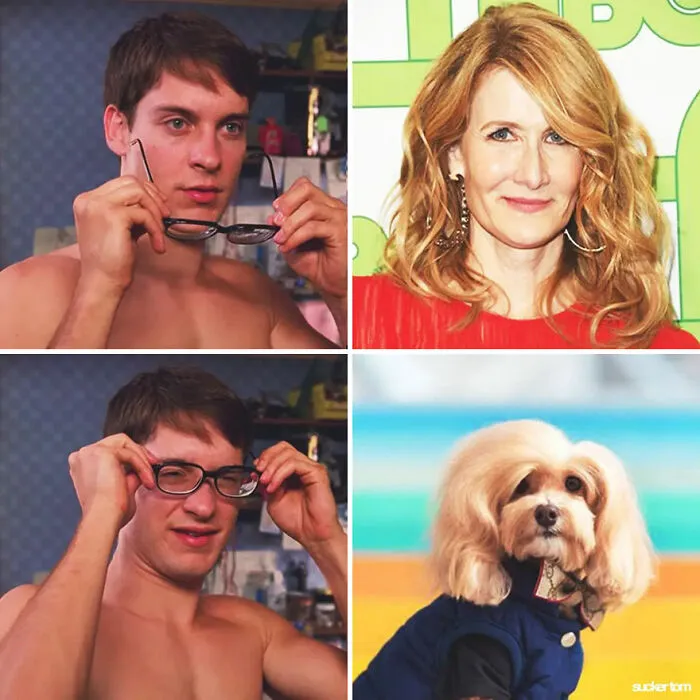 Laura Dern