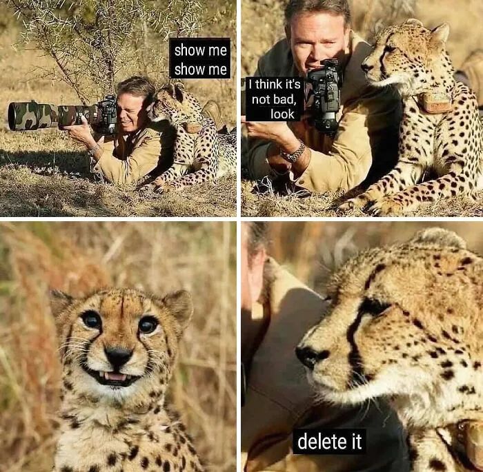 People Are Bursting With Laughter At These 30 Photography Memes, Shared By This Dedicated Instagram Page
