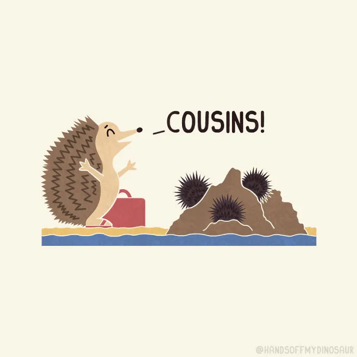 I've Always Enjoyed Placing Animals In Funny Situations Or Daily Scenarios That We Can All Relate To (30 Illustrations)