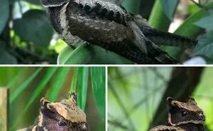 This Online Group Has People Posting "All Things That Seem Straight Out Of A Fairytale", And Here Are 40 Of Their Most Bewitching Pics