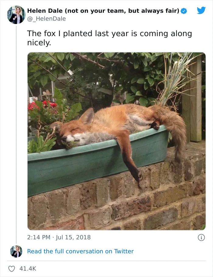 Planted Fox