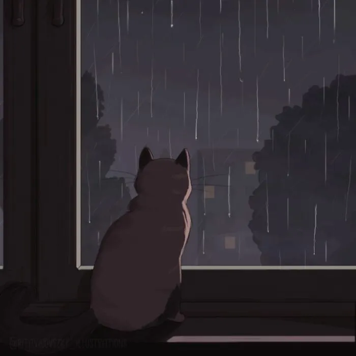 30 Ilustraciones que muestran cómo es tener un gato