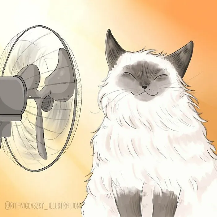 30 Ilustraciones que muestran cómo es tener un gato