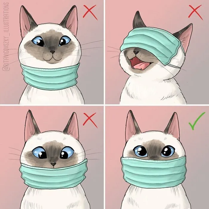 30 Ilustraciones que muestran cómo es tener un gato