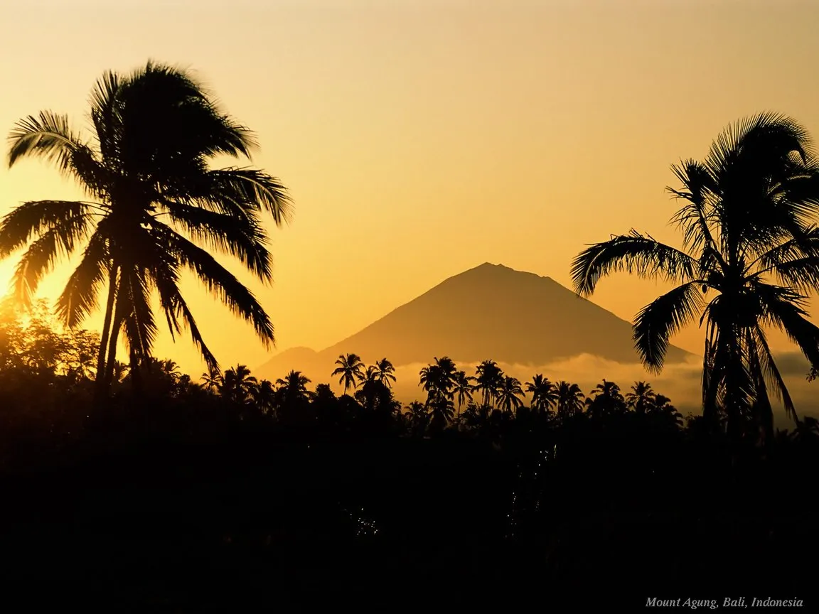 Nature Photography