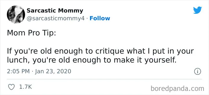 If You Think Parenting Is Challenging, You’re Not Alone, And Here Are 30 Funny Memes From ‘Satirical Mommy’ To Prove It