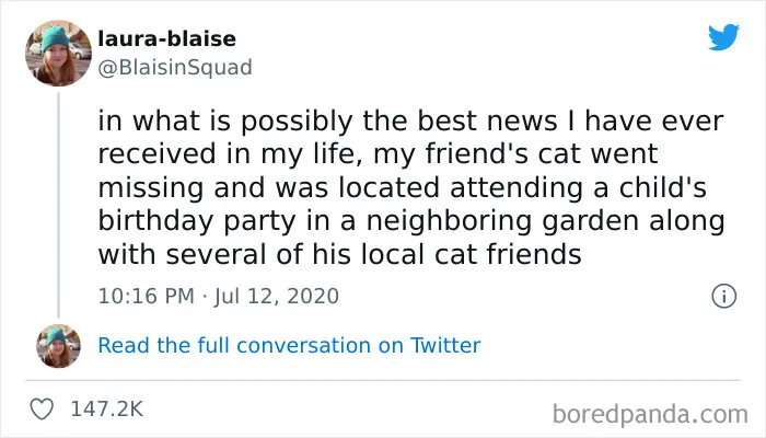Things That Cats Do