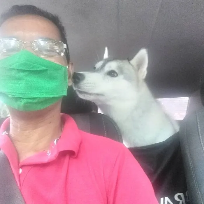 40 Selfies que este hombre se hizo con los pasajeros de su "taxi de mascotas"