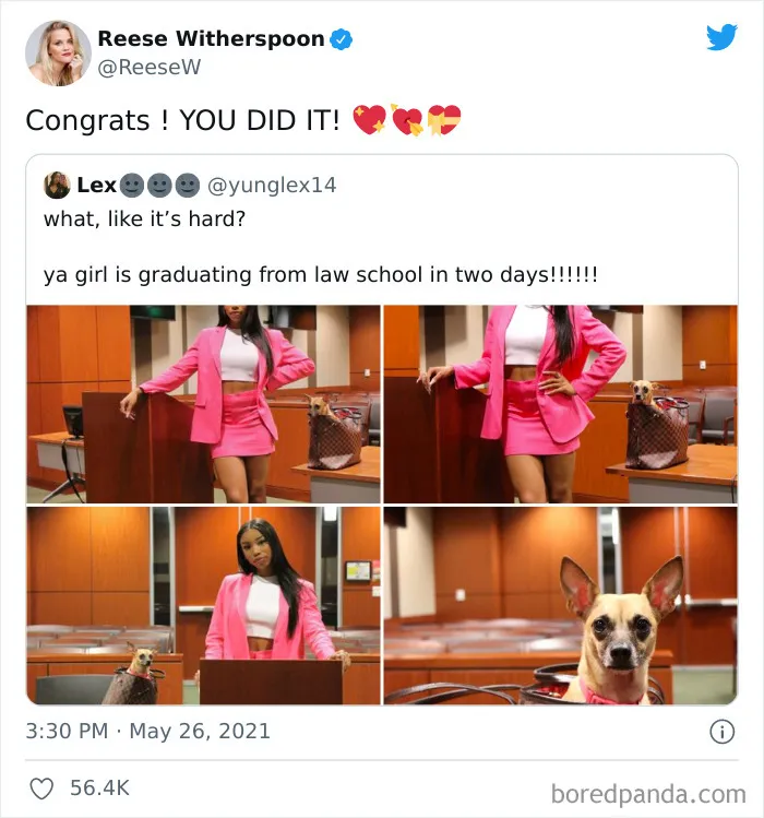 50 Of The Very Best Tweets From Celebrities