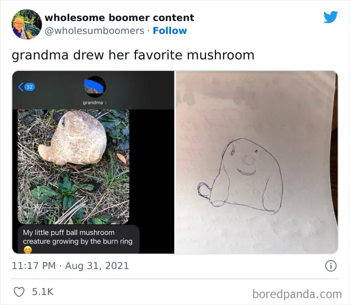 This Online Account Shares ‘Wholesome Boomer Content’ (35 New Pics)