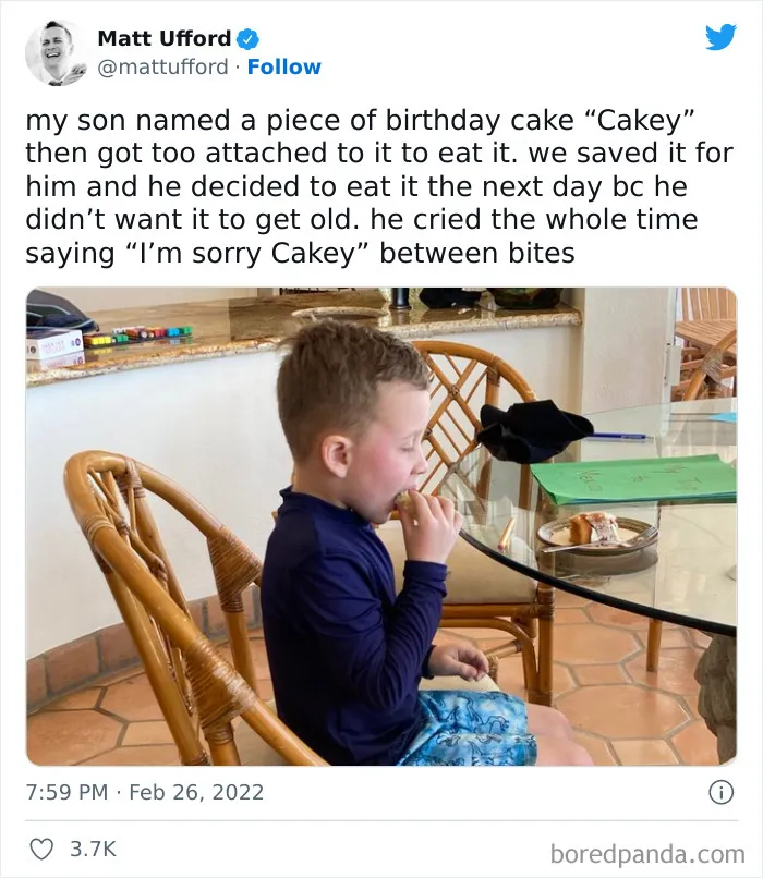 I’m Sorry Cakey