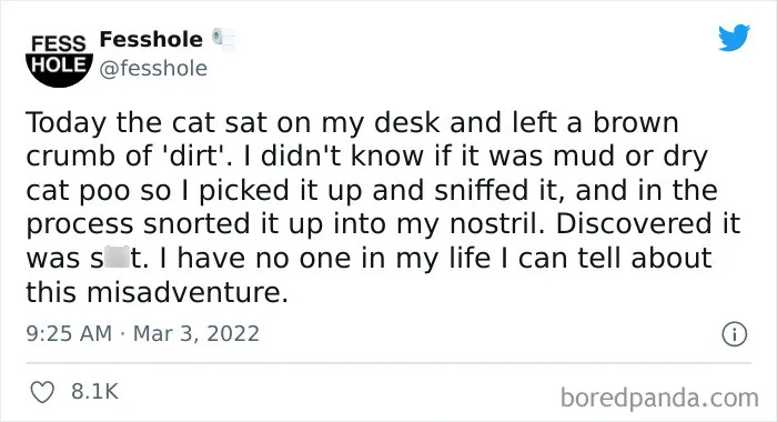 People Are Telling Their Darkest Secrets To This Twitter Account, And Here Are 50 Of Their Juiciest Confessions (New Answers)