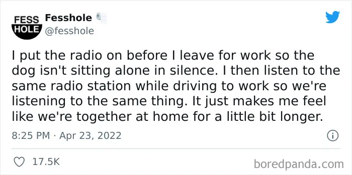 People Are Telling Their Darkest Secrets To This Twitter Account, And Here Are 50 Of Their Juiciest Confessions (New Answers)