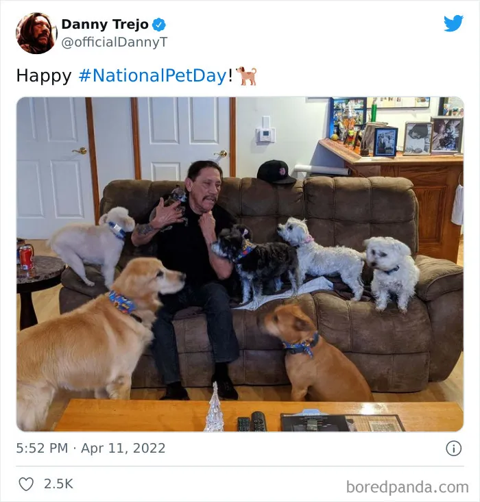 50 Of The Very Best Tweets From Celebrities