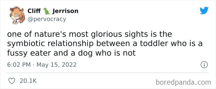 It’s Time For The Funniest Parenting Tweets Of The Month, And Here Are The Best Ones This May (35 Pics)