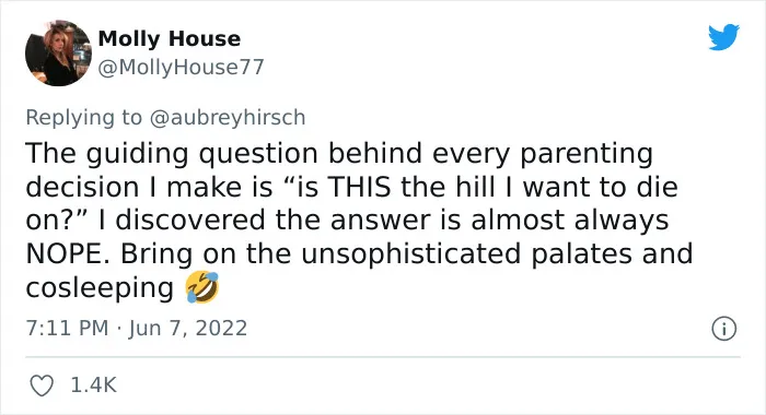 "My Kids Will Eat Whatever We're Eating!": People Are Sharing 30 'Parenting Fantasies' That Just Didn’t Work Out