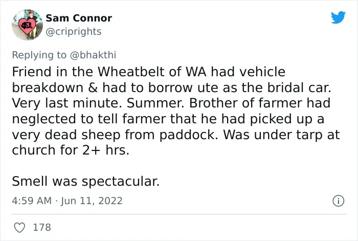 "She Kept That Secret Until We Divorced": 30 People Who Witnessed Weddings Go Terribly Wrong Spill The Gossip In This Online Thread