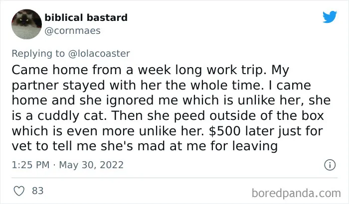 40 Pet Owners Share The Most Ridiculous Reason They Had To Bring Their Pet To The Vet