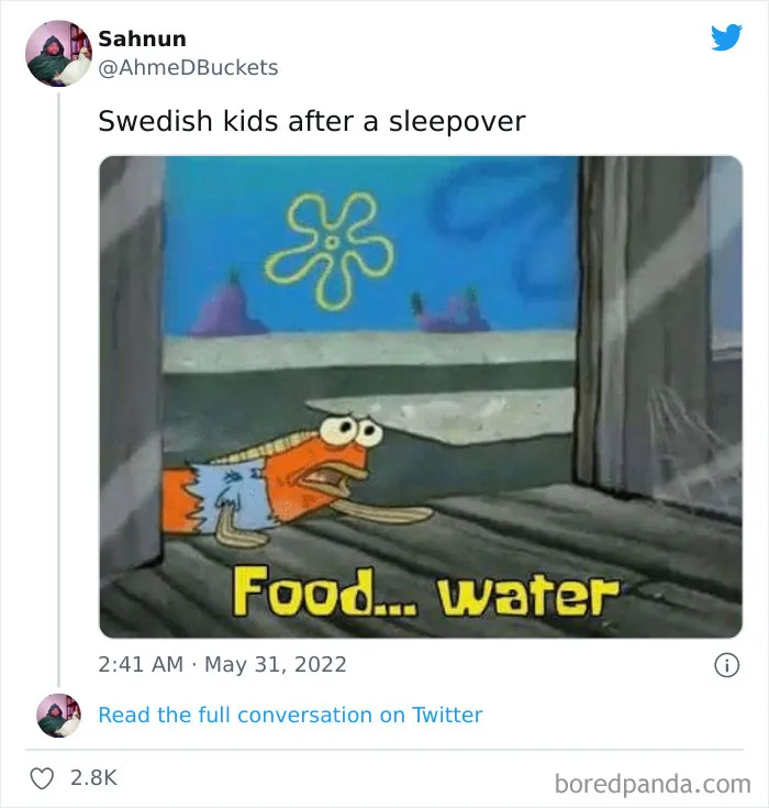 Huge Debate Explodes Over Swedes' Refusal to Feed Their Children's Guests, And Here're 30 Foreigners' Best Reactions