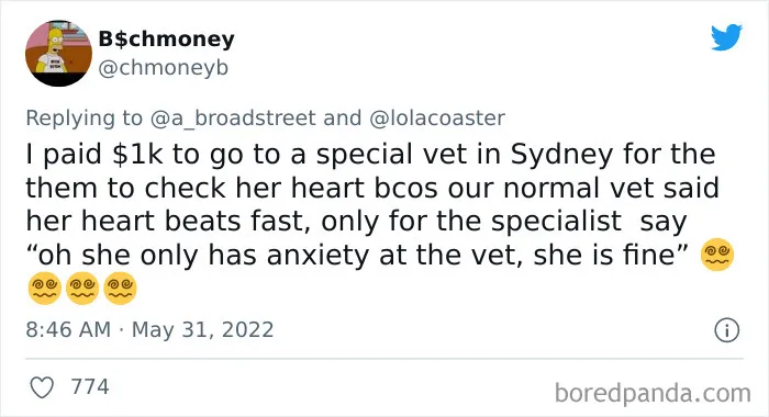40 Pet Owners Share The Most Ridiculous Reason They Had To Bring Their Pet To The Vet