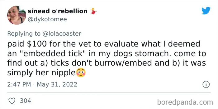 40 Pet Owners Share The Most Ridiculous Reason They Had To Bring Their Pet To The Vet