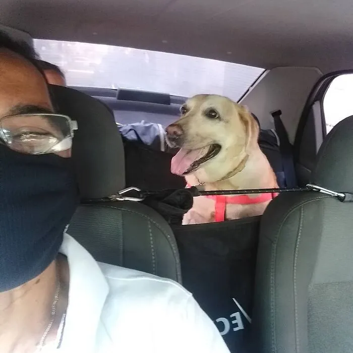 Meet Hamilton, The Driver Who Takes Selfies With His Animal Passengers (40 Pics)