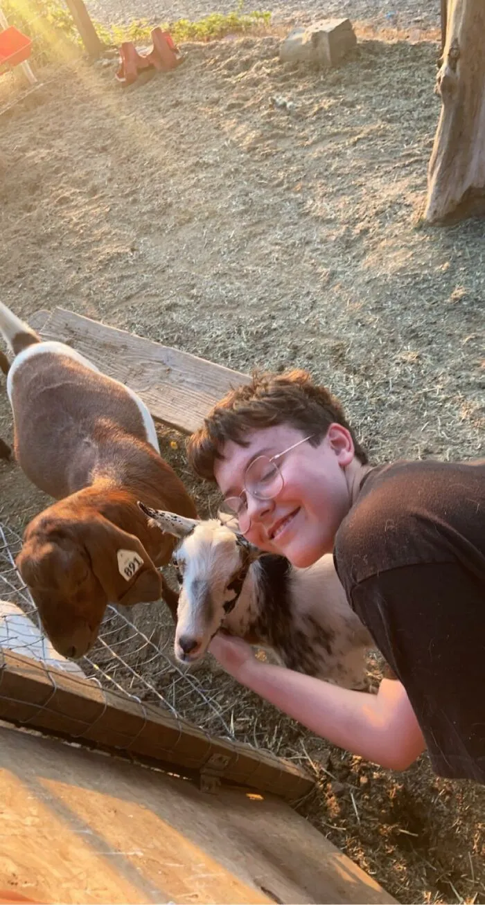 Goats :d