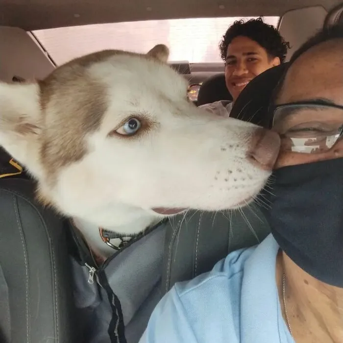 40 Selfies que este hombre se hizo con los pasajeros de su "taxi de mascotas"