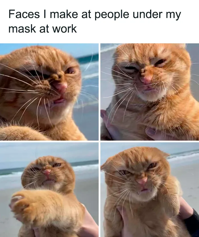 This Facebook Group Shares 50 "Work Related Funnies" To Help You Get Through The Work Week