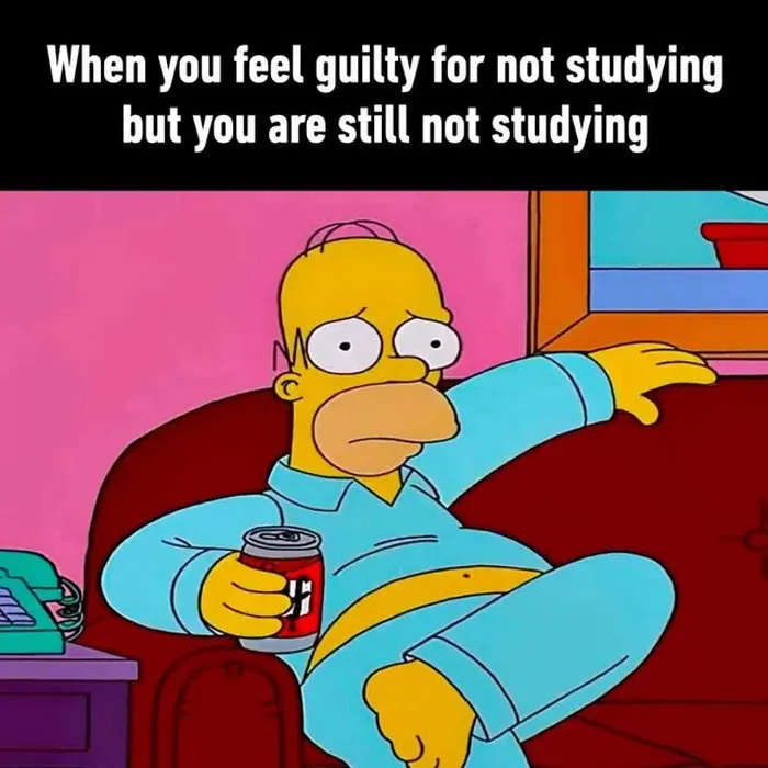 30 Student Memes That Might Make You Laugh And Cry At The Same Time, As Shared By This Dedicated Online Group