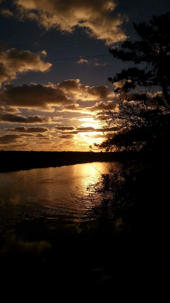 A Golden Morning.   Lewes, Delaware