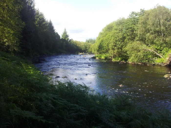 Galloway Forest  - One Of My Fave Places To Hang My Hammock