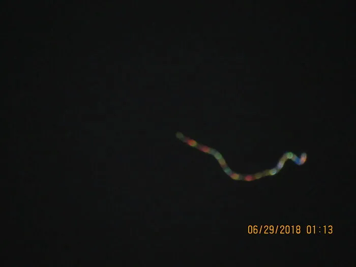 Taking Random Shots In The Late Night Arizona Sky. 200x Magnified With My Camera. Can Anyone Tell Me What It May Be?