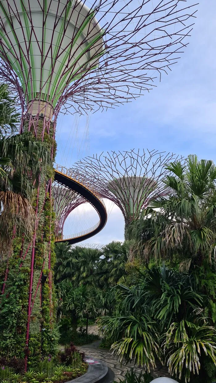 Gardens By The Bay, Marina Bay South, Singapore