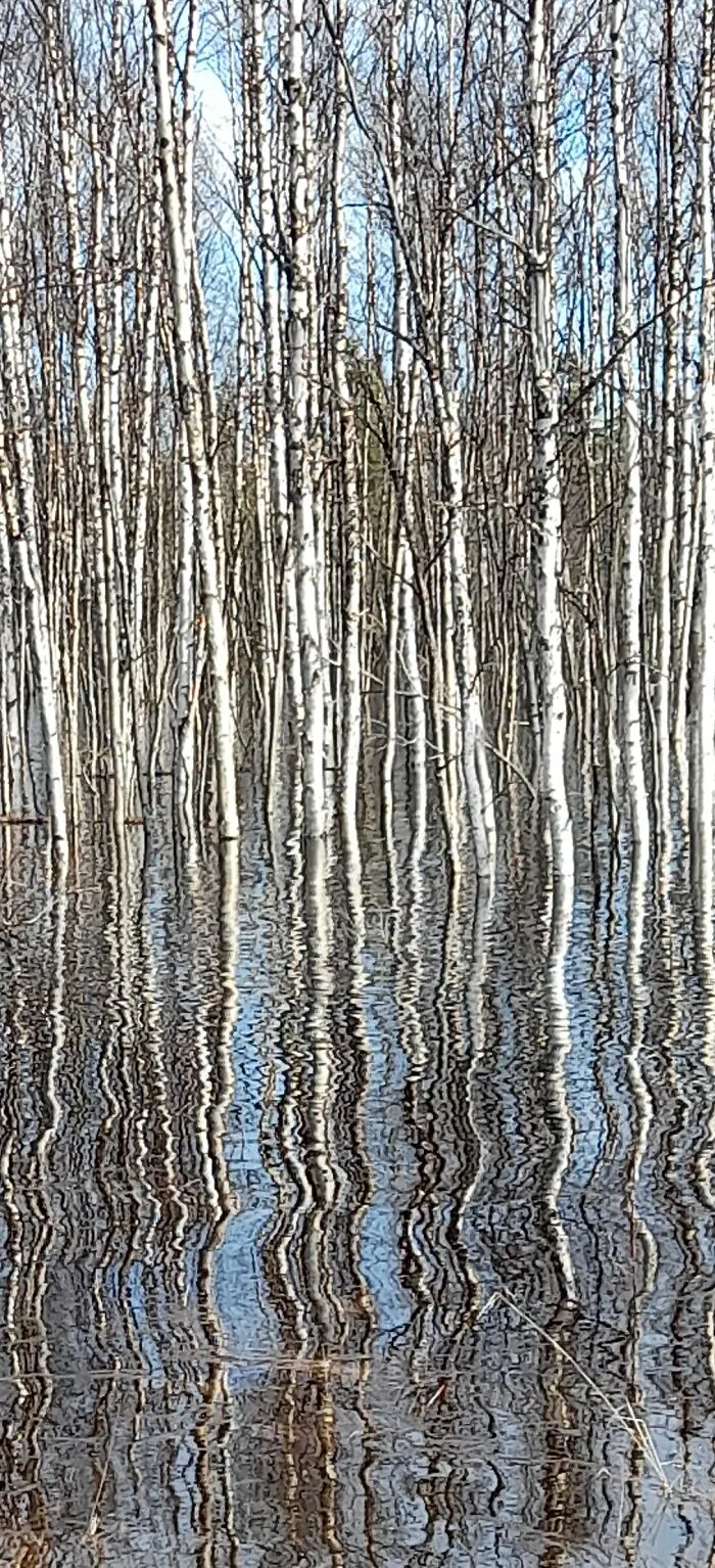 Spring Flooding